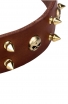 New Spiked Leather Dog Collar "Golden Skull"