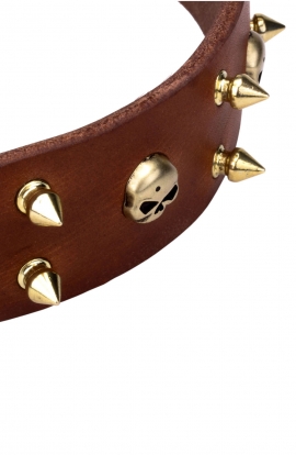 New Spiked Leather Dog Collar "Golden Skull"