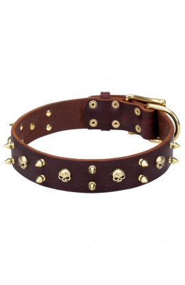 New Spiked Leather Dog Collar "Golden Skull"