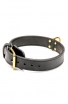 Buy 2 ply Leather Great Dane Collar for Training