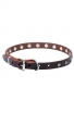 Narrow Dog Collar Made of Leather with Nickel Plated Decorations