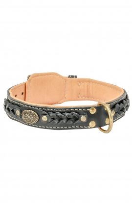 Doberman Padded Leather Dog Collar with Attractive Braids