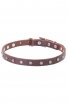 Narrow Dog Collar Made of Leather with Nickel Plated Decorations