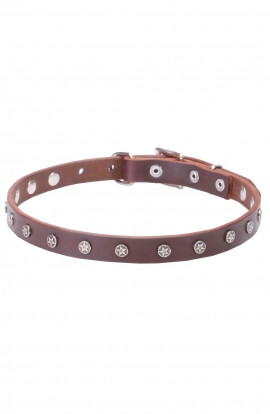 Narrow Dog Collar Made of Leather with Nickel Plated Decorations