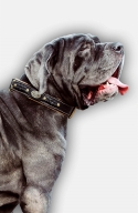 Royal Nappa Padded Mastiff Leather Collar Decorated with Braids
