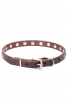 Narrow Dog Collar Made of Leather with Nickel Plated Decorations