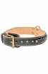 Braided Leather Rotweiler Collar with Nappa Padding