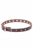 Narrow Dog Collar Made of Leather with Nickel Plated Decorations