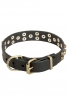 Elegant Leather Amstaff Collar with Old Brass Pyramids
