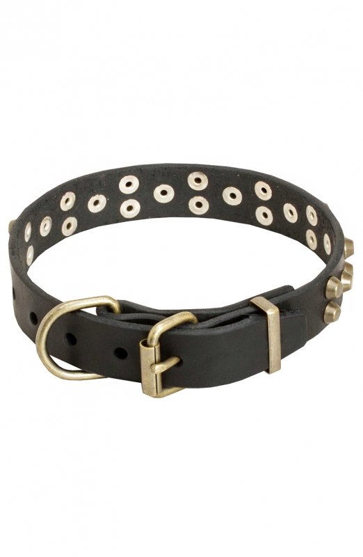 Buy Leather Amstaff Collar with Old Brass Pyramids | Dog Collars