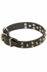 Fancy Design Doberman Collar with Nice Brass Pyramids