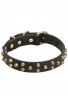 Fancy Design Doberman Collar with Nice Brass Pyramids