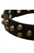 Fancy Design Doberman Collar with Nice Brass Pyramids