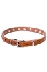 Narrow Dog Collar Made of Leather with Nickel Plated Decorations