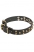 Beautiful Studded Leather Rottweiler Collar with Old Brass Pyramids