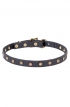 Narrow Dog Collar Made of Leather with Brass Plated Decorations