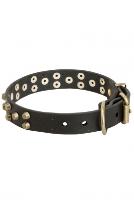 Beautiful Studded Leather Rottweiler Collar with Old Brass Pyramids