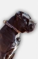 Fashionable Leather Cane Corso Collar with Old Brass Pyramids