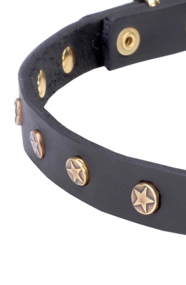 Narrow Dog Collar Made of Leather with Brass Plated Decorations