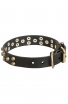 Chic Leather Bullmastiff Collar with 3 Rows of Brass Pyramids