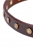 Narrow Dog Collar Made of Leather with Brass Plated Decorations