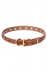 Narrow Dog Collar Made of Leather with Brass Plated Decorations