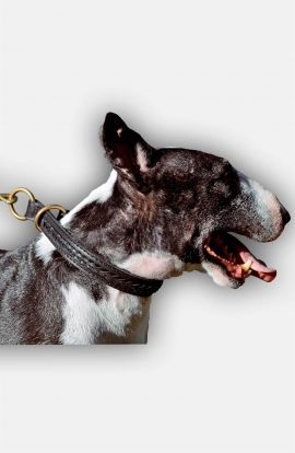 English Bull Terrier 2 Ply Leather Choke Dog Collar with Braids