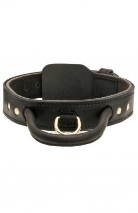 Pitbull Leather 2ply Collar with Handle