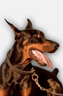 Doberman 2 Ply Leather Choke Dog Collar with Braids