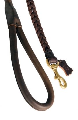 Braided Leather Dog Leash with Round Handle