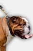 English Bulldog 2 Ply Leather Choke Dog Collar with Braids