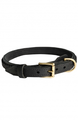 Braided Leather Amstaff Collar