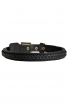 2 Ply Leather Dog Collar with Braided Design for Cane Corso