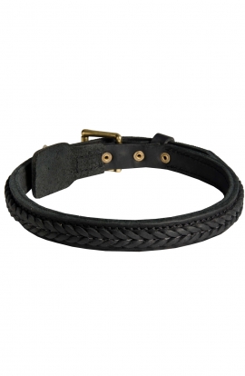 2 Ply Leather Dog Collar with Braided Design for Great Dane
