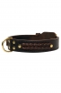 2 ply Leather English Bull Terrier Collar with Braids