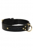 2 ply Leather Amstaff Collar with Braids