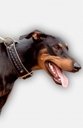 Leather Doberman Collar with Fur Protection Plate