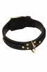 Leather Rottweiler Collar with Fur Protection Plate