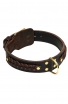 Leather Rottweiler Collar with Fur Protection Plate