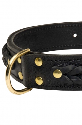 Leather American Bulldog Collar with Fur Protection Plate