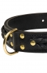 Leather English Bulldog Collar with Fur Protection Plate