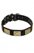 English Bull Terrier Collar with Vintage Brass Plates