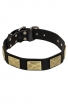 Boxer Collar with Vintage Brass Plates