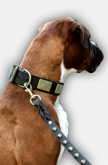 Boxer Collar with Vintage Brass Plates