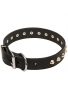 Bull Terrier Collar with Nickel-Plated Pyramids