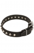 Bull Terrier Collar with Nickel-Plated Pyramids