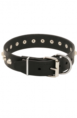 German Shepherd Collar with Nickel-Plated Pyramids