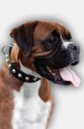 Boxer Collar with Nickel-Plated Pyramids