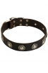 English Bull Terrier Collar with Vintage Nickel Conchos