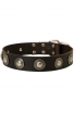 Amstaff Collar with Vintage Nickel Conchos